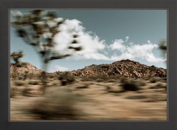 Mojave Blur