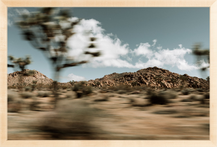 Mojave Blur