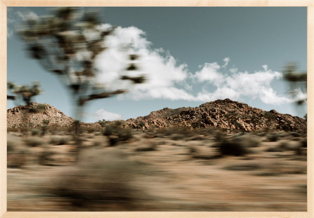 Mojave Blur