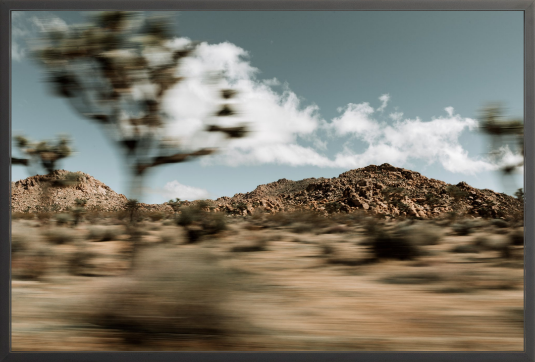 Mojave Blur