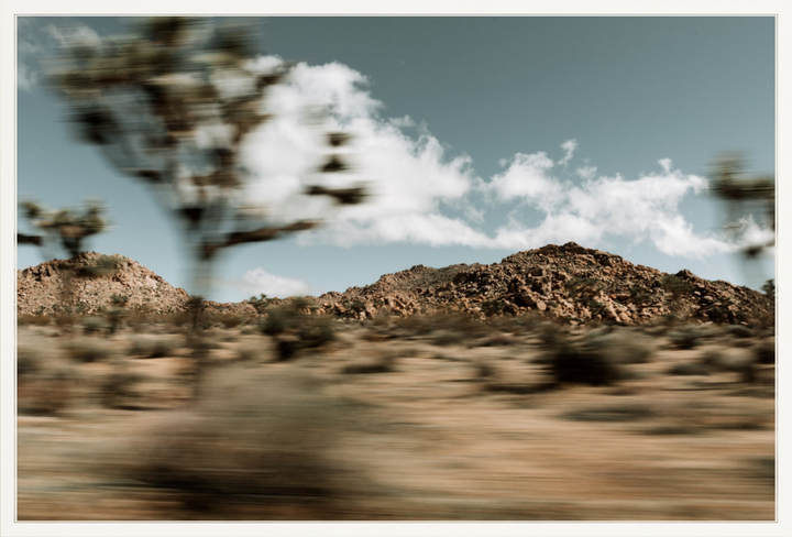 Mojave Blur