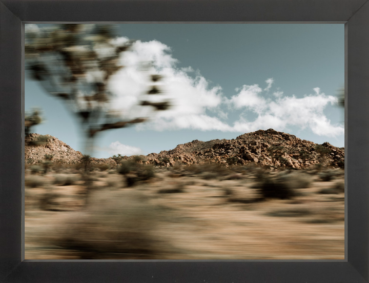 Mojave Blur