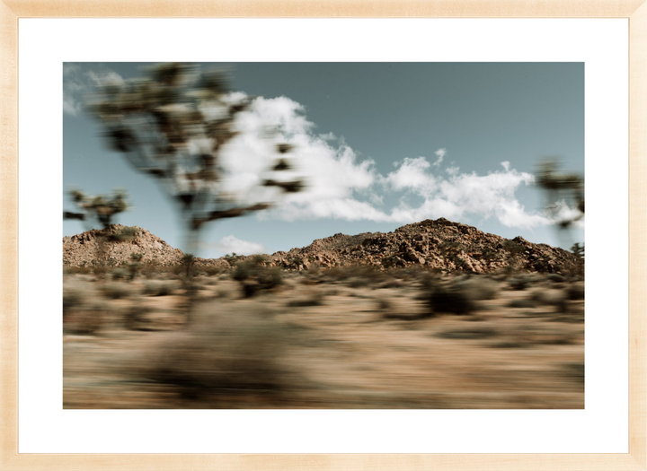 Mojave Blur