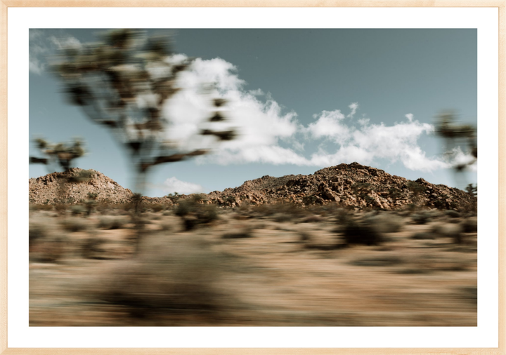 Mojave Blur