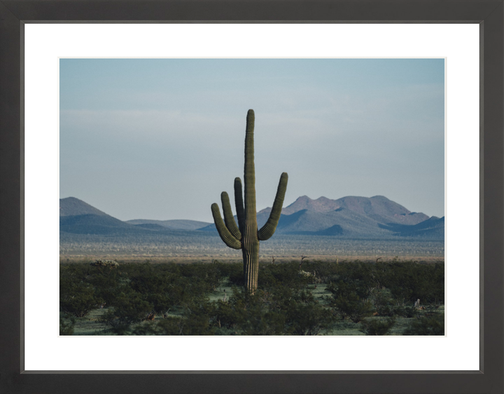 Desert Hand