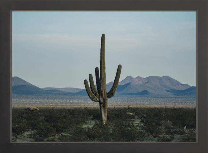 Desert Hand