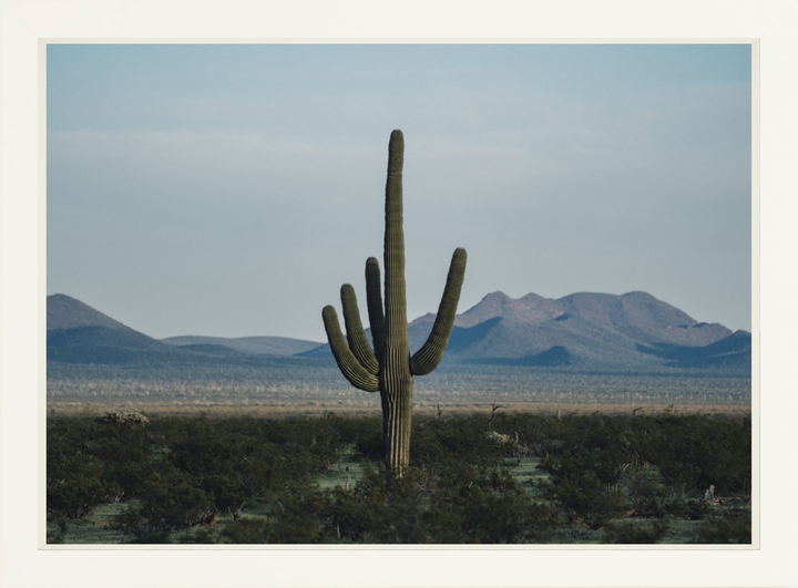 Desert Hand