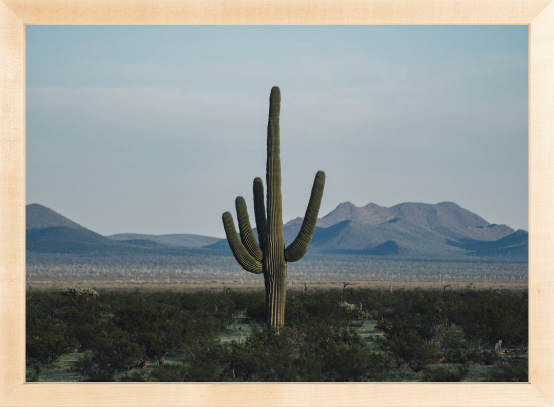 Desert Hand