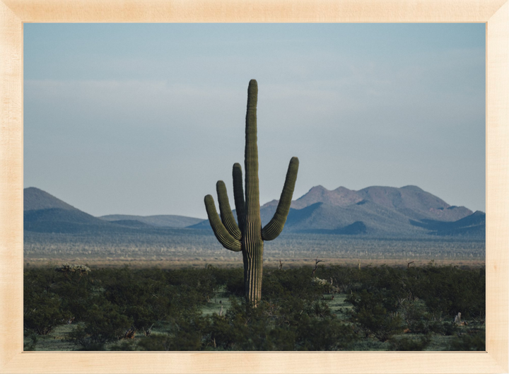 Desert Hand