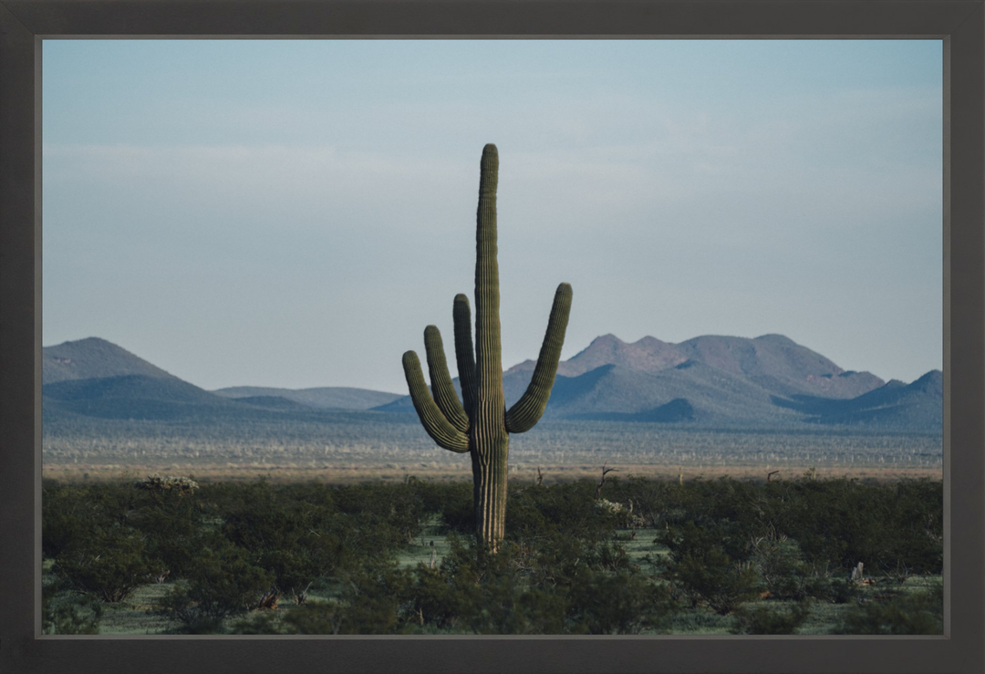 Desert Hand