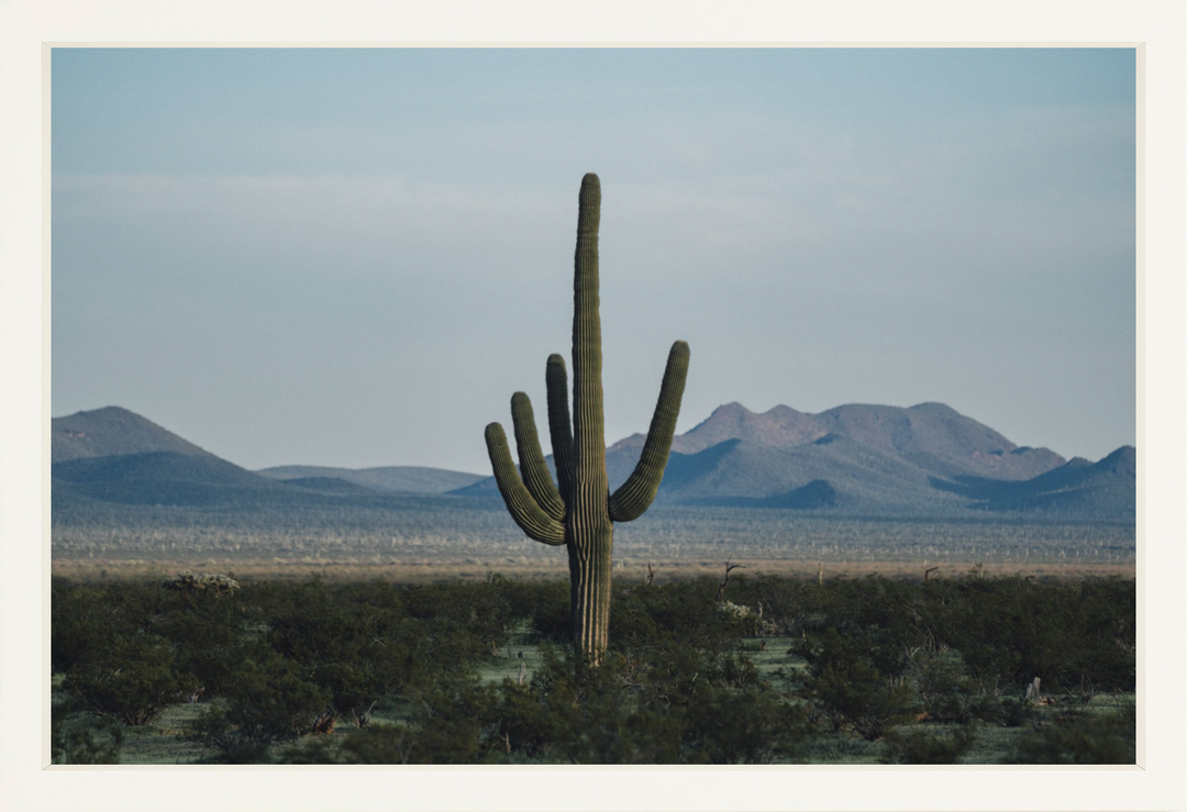 Desert Hand