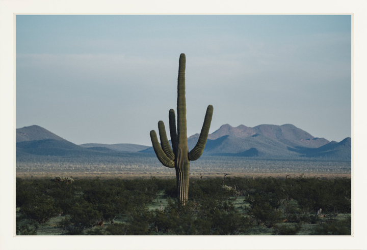 Desert Hand