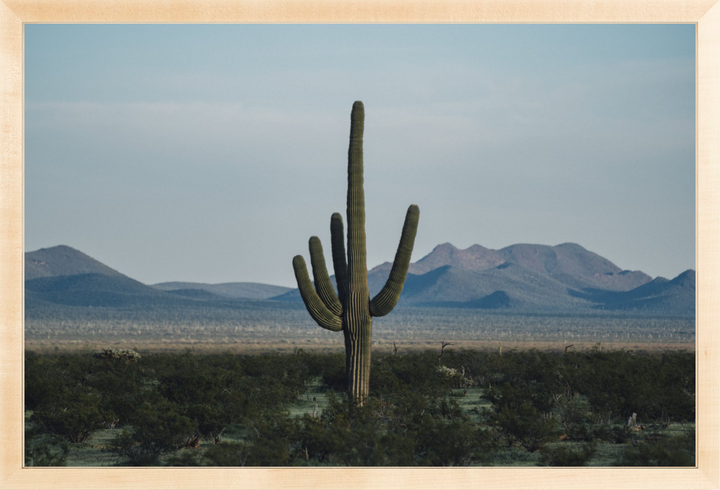 Desert Hand