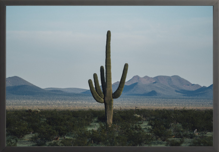 Desert Hand