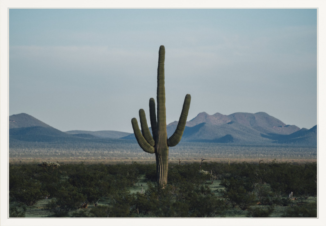 Desert Hand