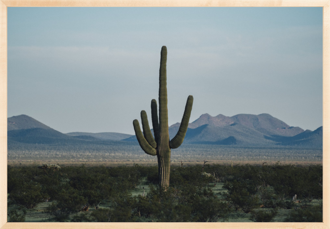 Desert Hand