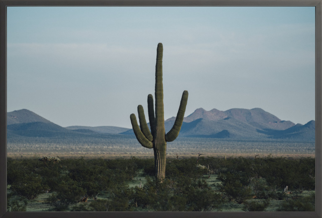 Desert Hand