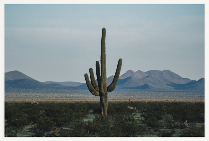 Desert Hand