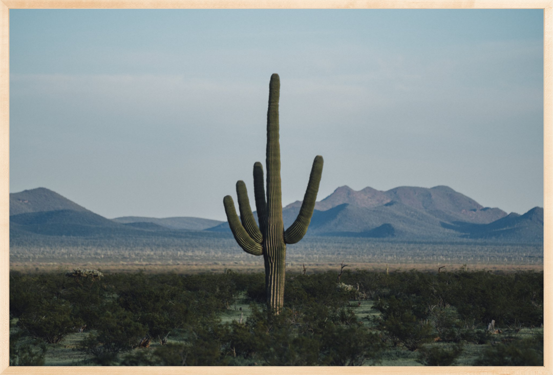 Desert Hand