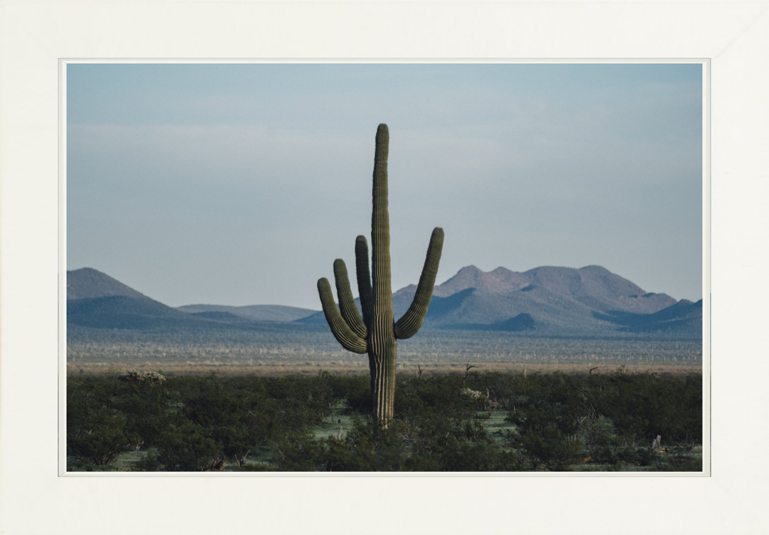 Desert Hand