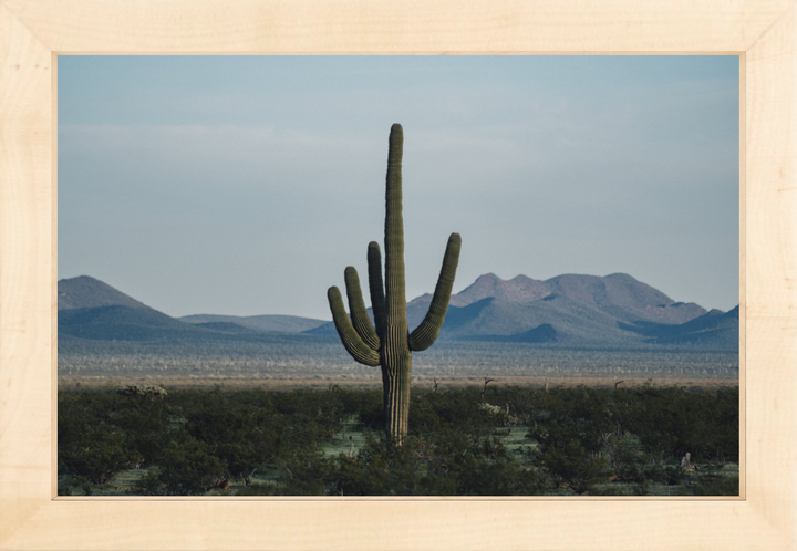 Desert Hand