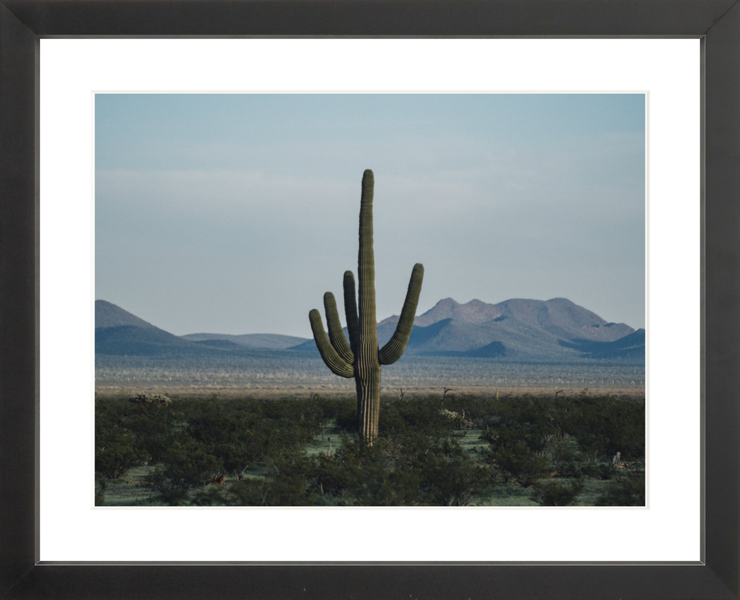 Desert Hand