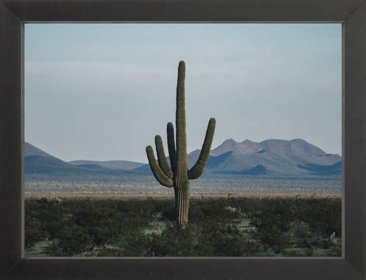 Desert Hand