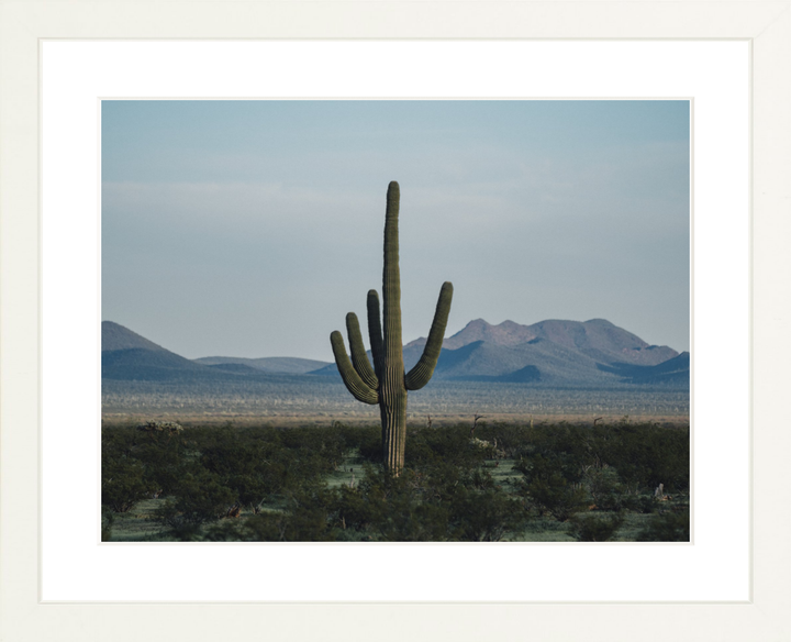 Desert Hand