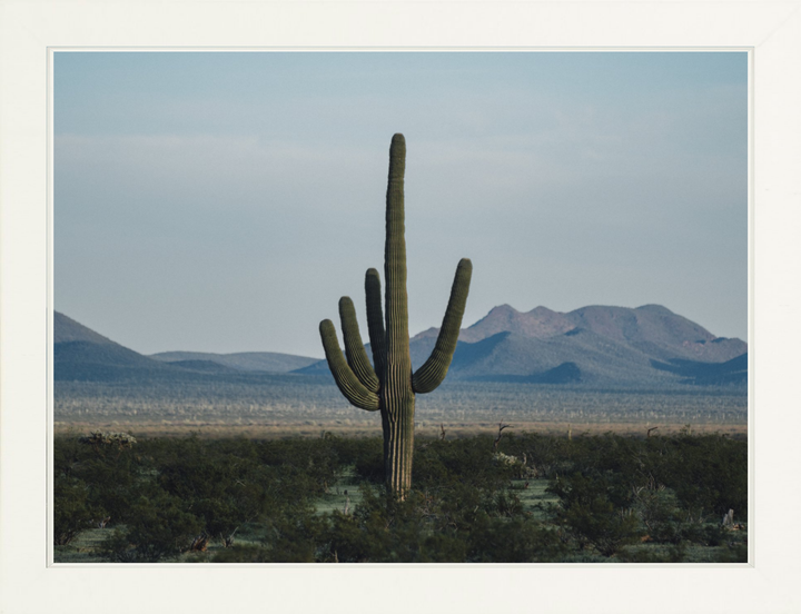 Desert Hand